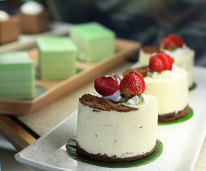 tiramisu in display