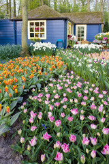 Keukenhof Gardens, Lisse, Netherlands