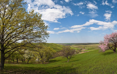 Spring landscape with small canyon