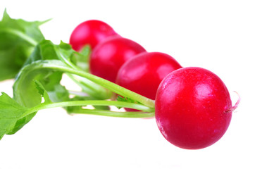 Fresh red radish