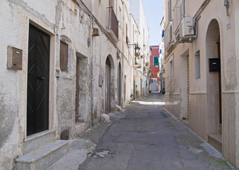 Fototapeta premium Alleyway in Monopoli Oldtown. Apulia.