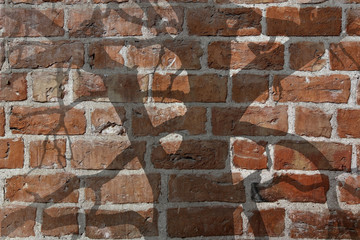 Mauer mit dem Schatten eines Baumes