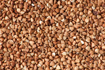 background of buckwheat