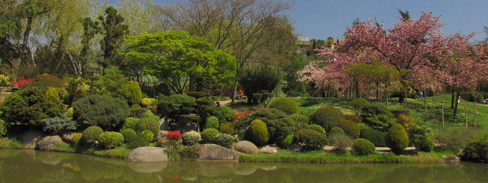 Jardin Japonais