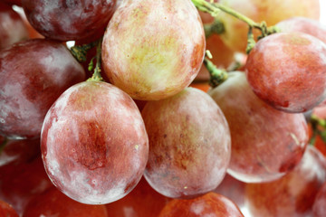 raisin rosé, fond blanc