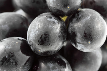 raisin rouge, fond blanc