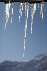 Icicles