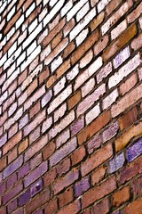 wall