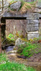 Old Bridge in the wood