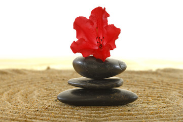 Steine Hot Stones mit roter Azalee auf Sand vor Weiss