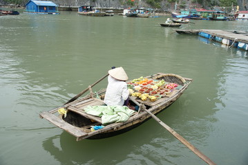 Fototapeta na wymiar Ha Long Bay w Wietnamie