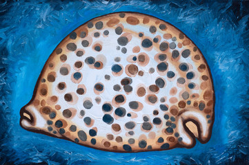shell oil painted on canvas