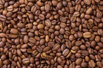 roasted coffee beans