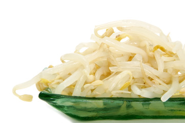bean fresh sprouts