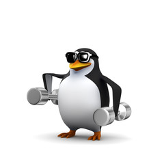 3d Penguin working out