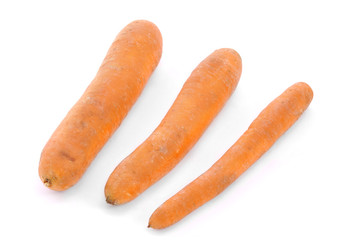 carota arancione verdura ortaggio