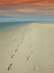 Fototapeta na wymiar empreintes de pas sur le sable