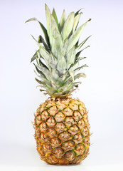Fototapeta premium Ananas2