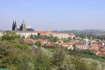 Fototapeta na wymiar Prague's gothic Castle with flowering trees and grass