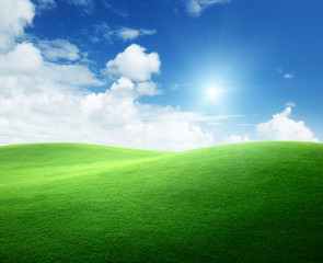 Obraz premium field of green grass and blue sky