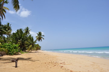 Playa Coson,Republica Dominicana