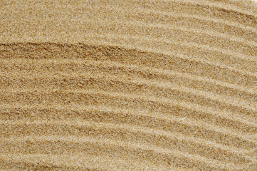 sand background