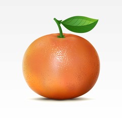 Grapefruit