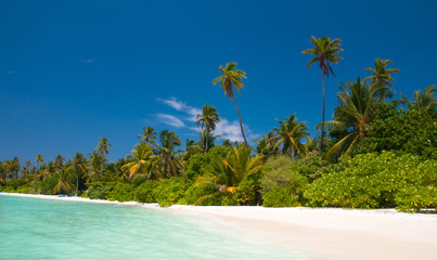 einsamer tropischer Strand auf den Malediven