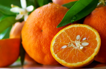 Mature orange and flowers.