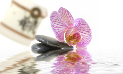 Steine mit Orchideen Und Wasserspiegelung