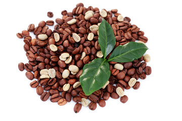 green and brown coffee beans