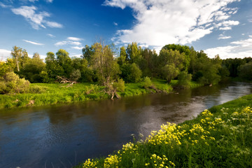 Fototapeta na wymiar small river under blue sky.The end of summer