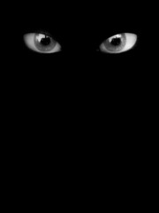 Scary Eyes