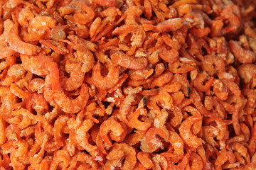 shrimp
