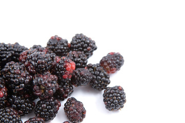 Blackberries