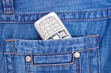 Cell phone