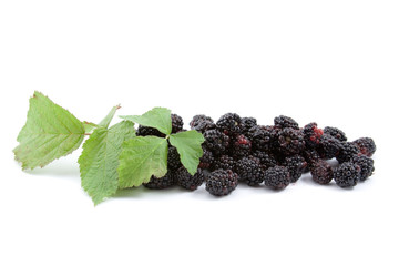 Blackberries