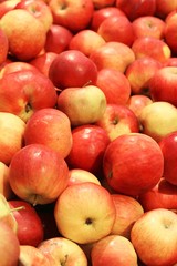 Delicious big red apples