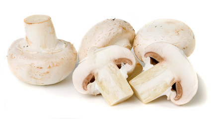 Fototapeta na wymiar Edible white button mushroom
