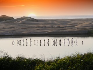 Un magnifique coucher de soleil dans la réserve de Sous Massa au Maroc