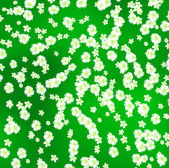 Spring flowers background vector