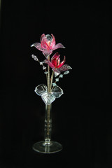 orchidea