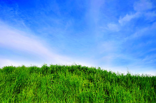 background of cloudy sky and grass