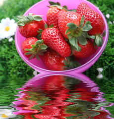 Erdbeeren