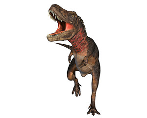 dino 4
