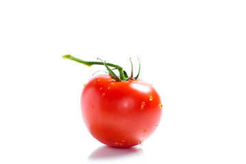 Tomato isolated on white