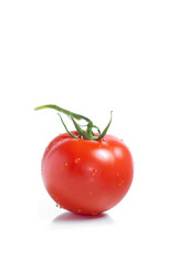 Tomato isolated on white