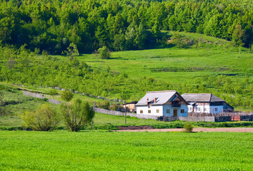 Fototapeta na wymiar Rural landscape with wheat field and house