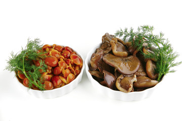 grevilles and white mushrooms