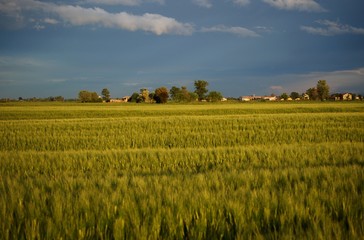 campagna